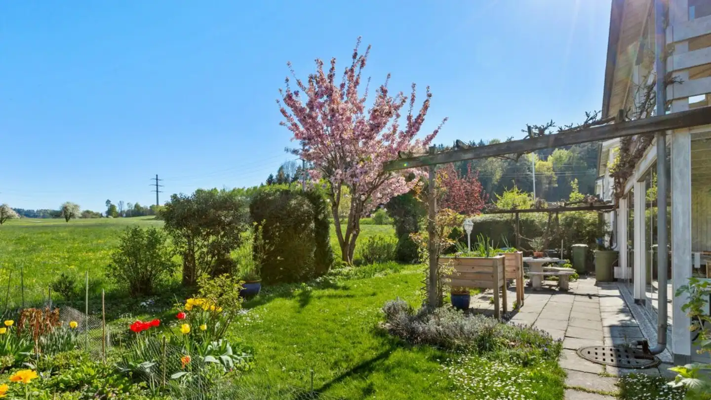 Casa singola in vendita - Scheuerstrasse 11b, 9547 Wittenwil - Foto 2