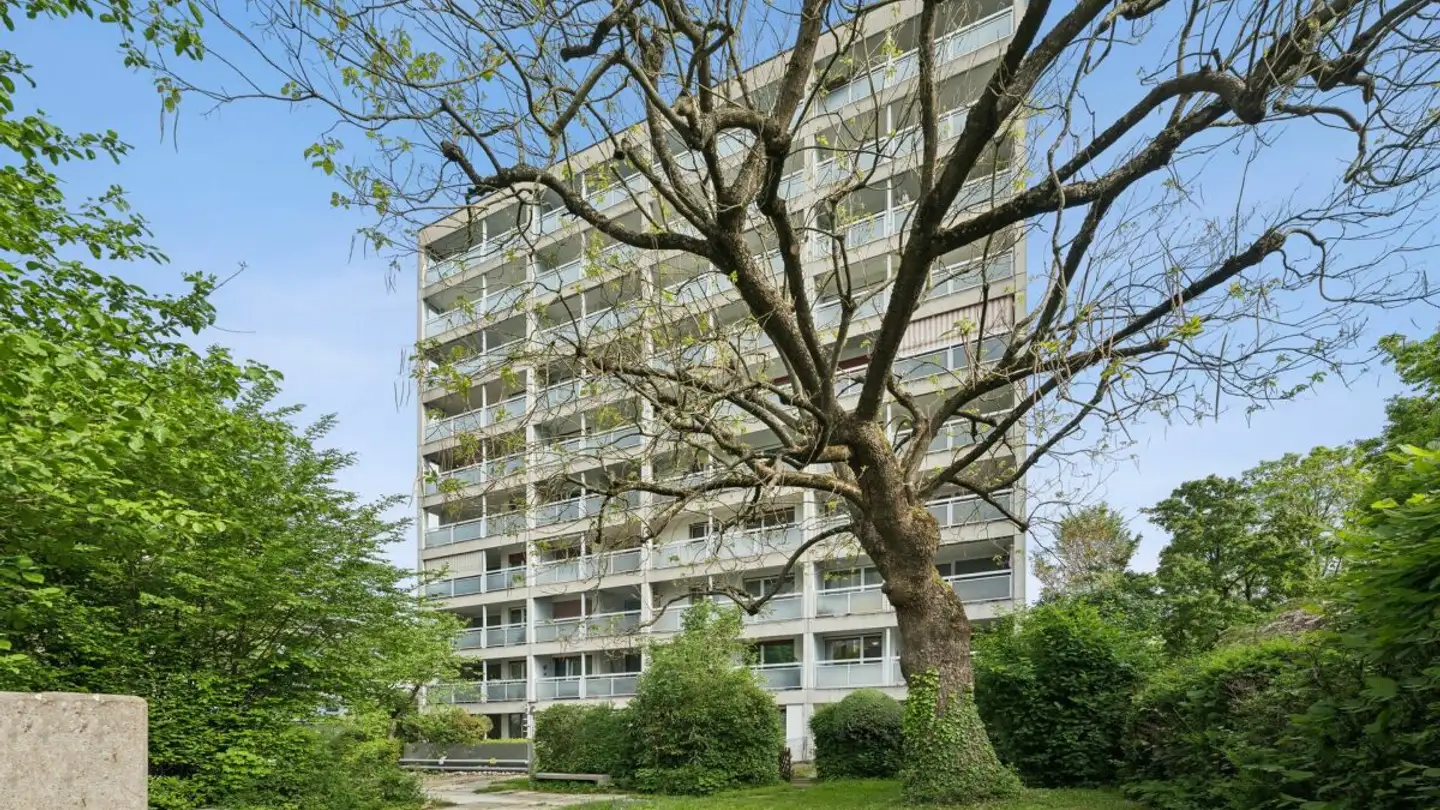 Wohnung kaufen - Rüttihardstrasse 8, 4127 Birsfelden