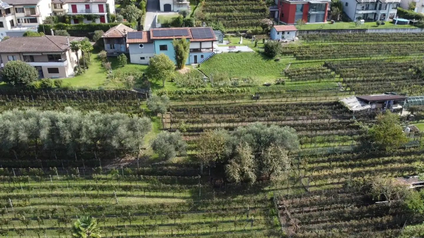 Terrain constructible à vendre - Via San Giorgio, 6827 Brusino Arsizio - Photo 4