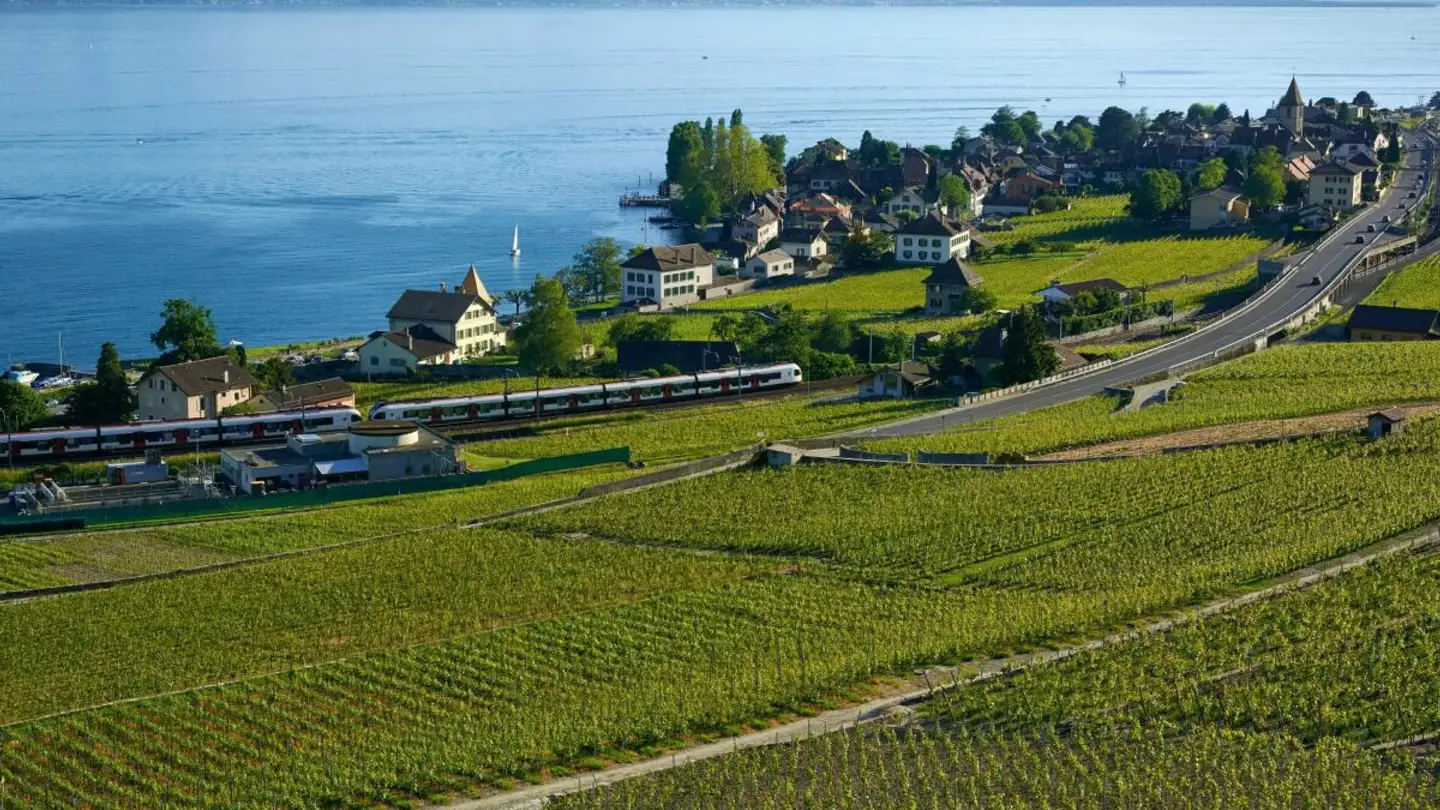 Appartement à vendre - 1012 Lausanne