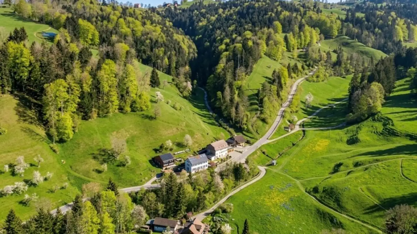 Immeuble résidentiel à vendre - Kohltobelstrasse 24, 8499 Sternenberg