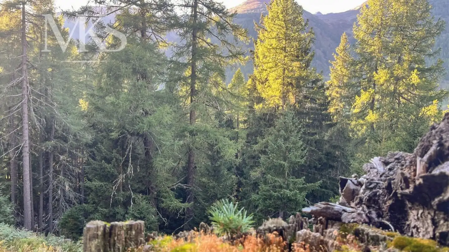 Casa singola in vendita - Waldweg 307, 3985 Geschinen - Foto 4