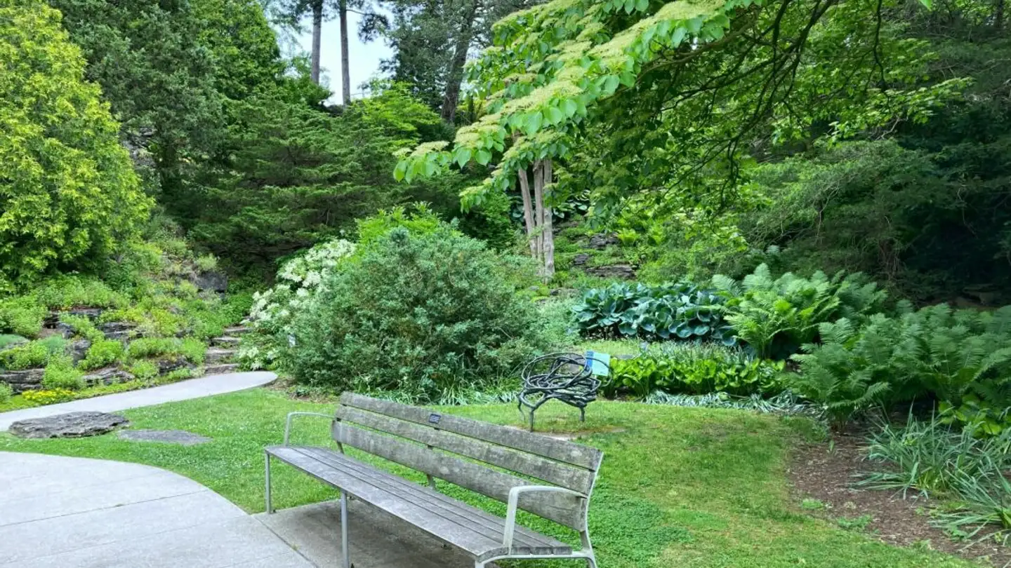 Apartment for rent - 1206 Genève