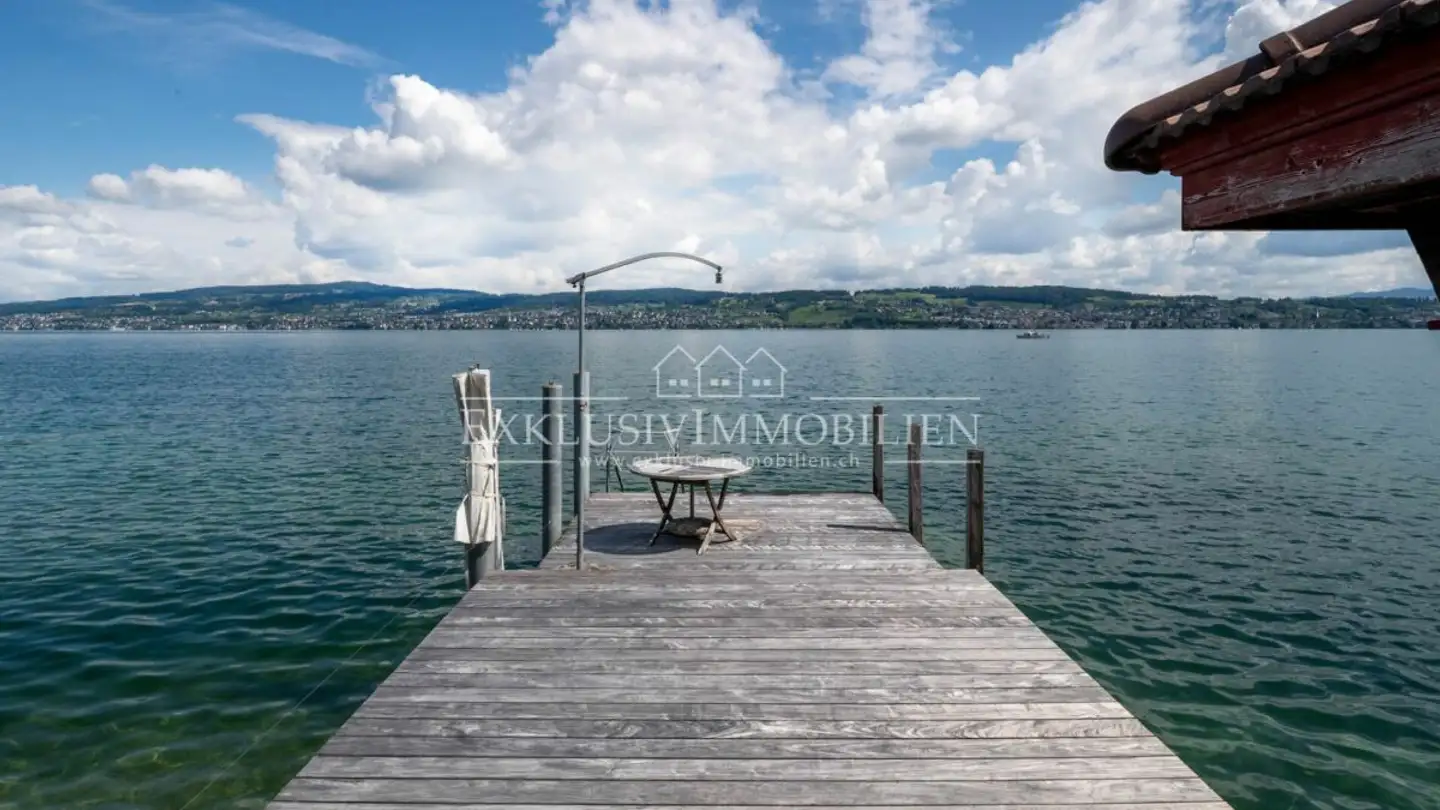 Villa kaufen - 8805 Richterswil