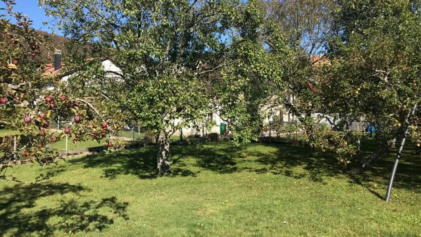 Einfamilienhaus kaufen - Rue De L'agriculture 30, 1337 Vallorbe - Foto 2