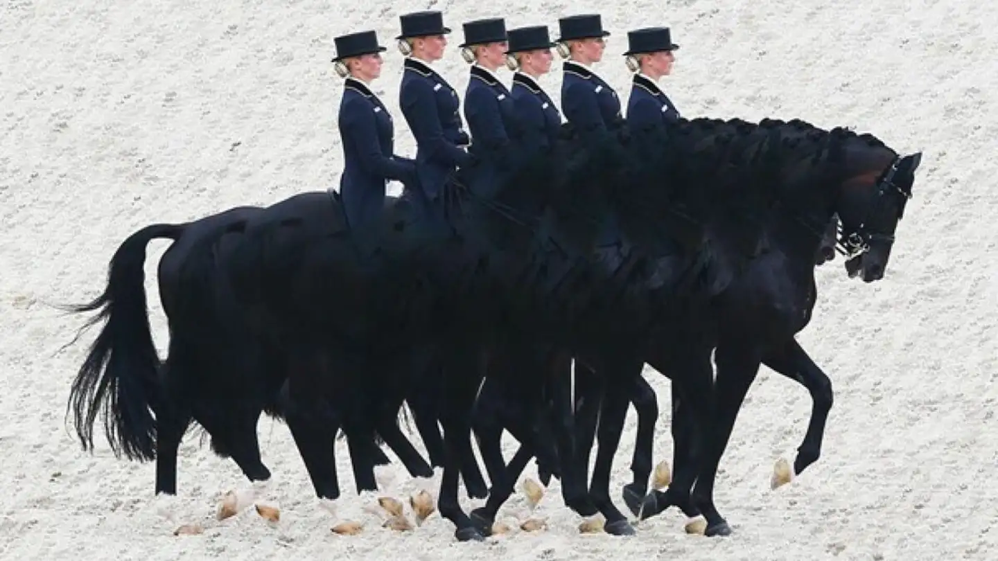 Riding hall for sale - 8266 Steckborn