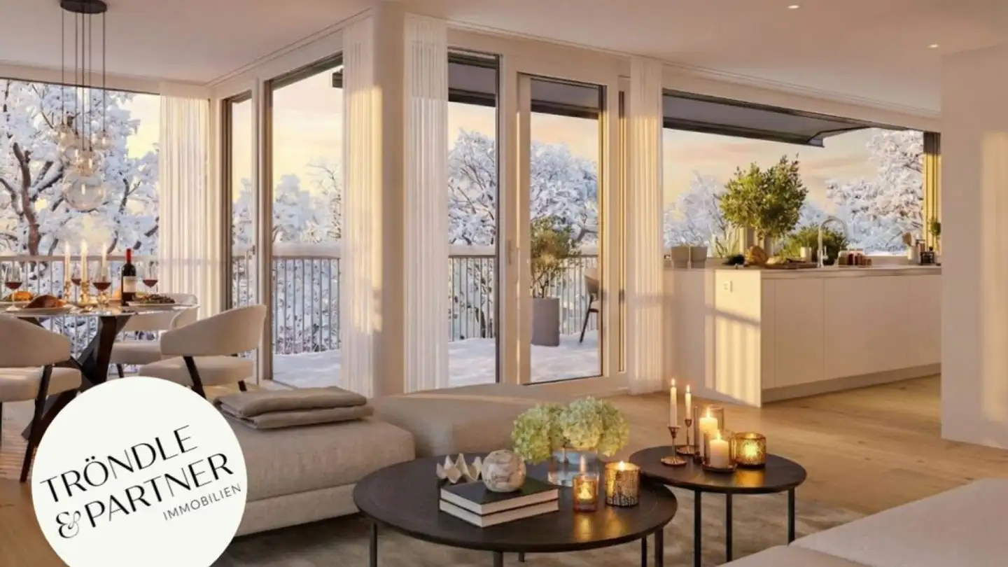 Attico in vendita - Eierbrechtstrasse 15, 8053 Zürich