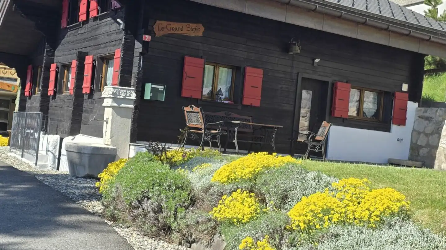 Einfamilienhaus mieten - Chemin Des Fenives 7, 1854 Leysin