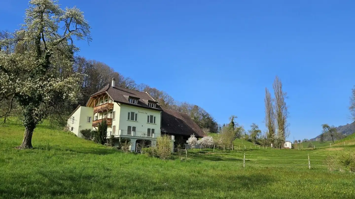 Wohnung mieten - 6353 Weggis - Foto 2