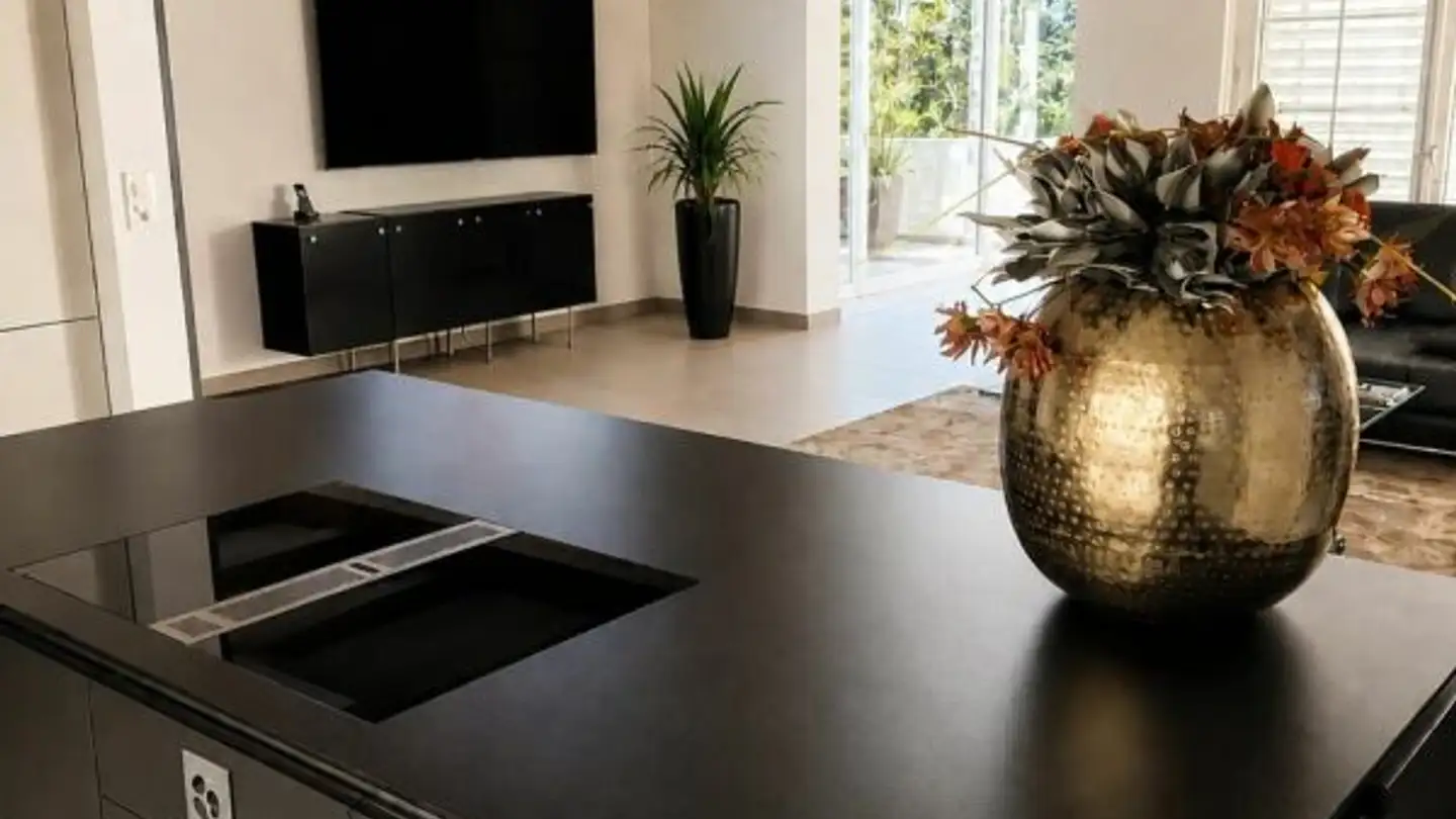 Maison individuelle à vendre - Wislistrasse 9g, 9442 Berneck - Photo 4