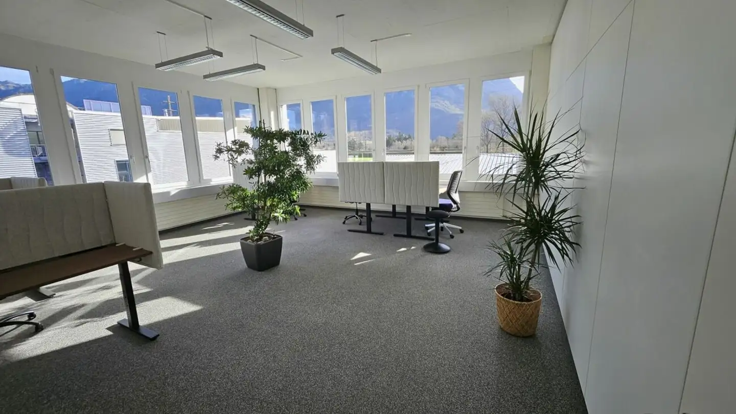 Office space for rent - Fährhüttenstrasse 21, 9477 Trübbach