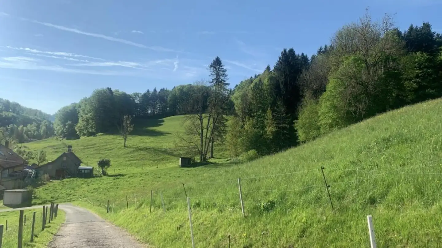 Terreno edificabile in vendita - 1337 Vallorbe