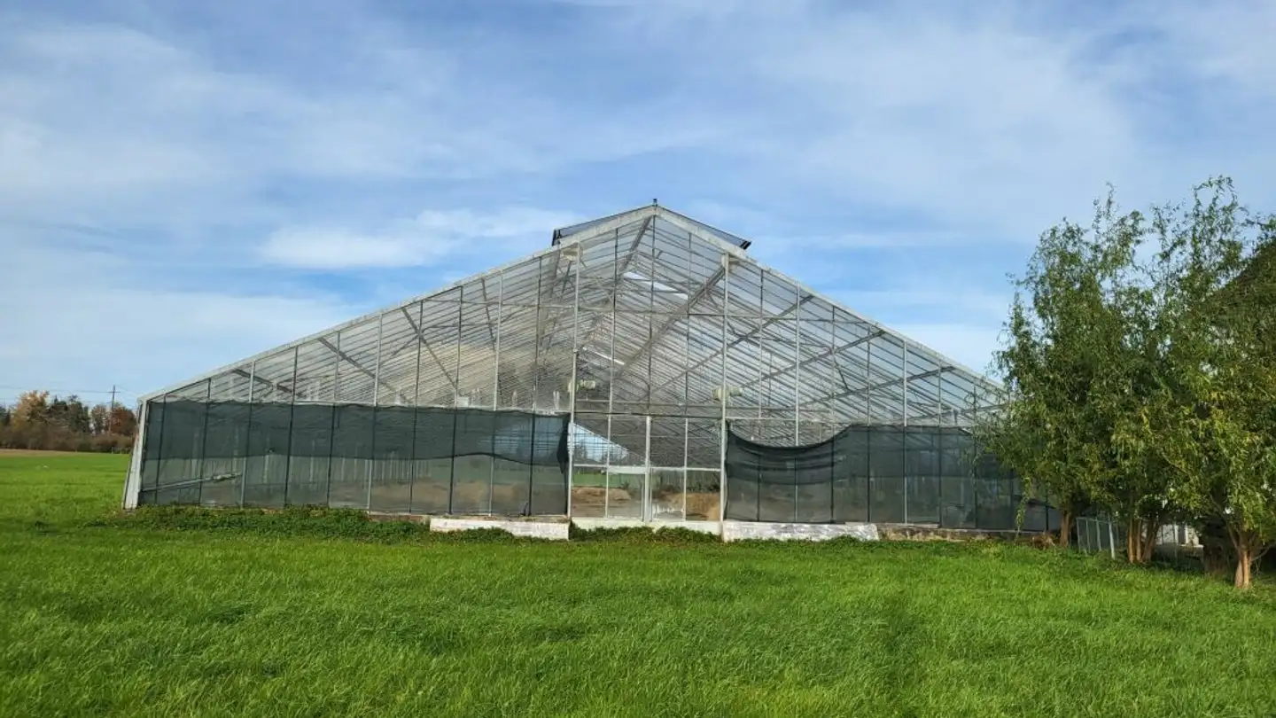 Garden for rent - Hofenstrasse 1, 9320 Stachen - Photo 2