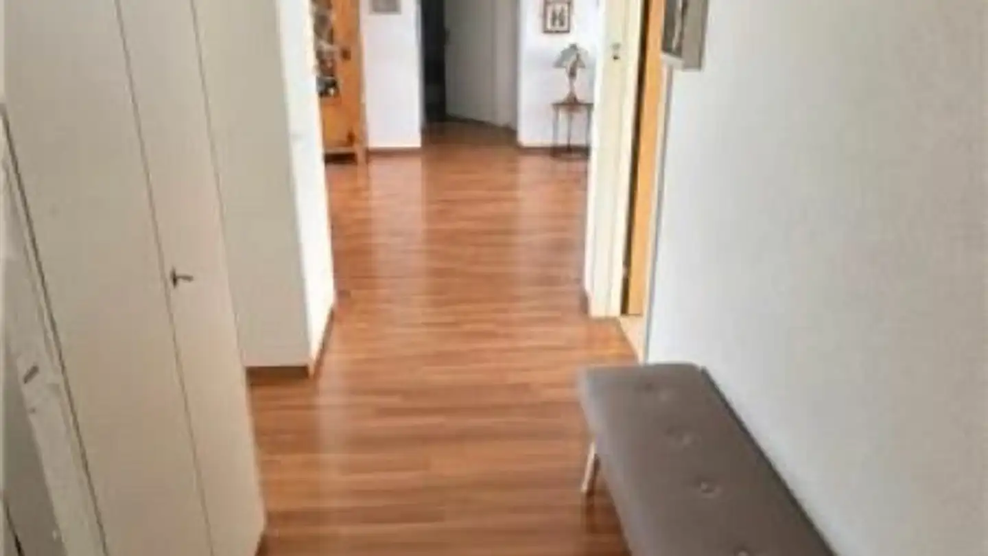 Appartamento in affitto - Gonzenstrasse 8, 7320 Sargans