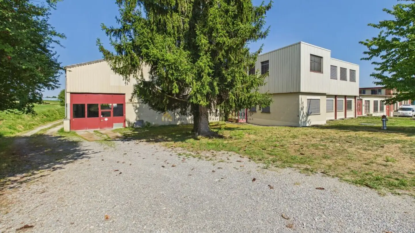 Commercial à vendre - 8593 Kesswil - Photo 3