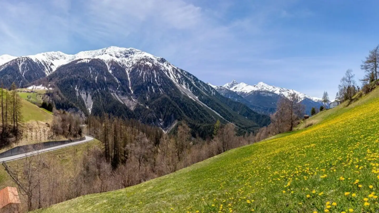 Bauland kaufen - Schluochtweg, 7494 Davos Wiesen - Foto 4
