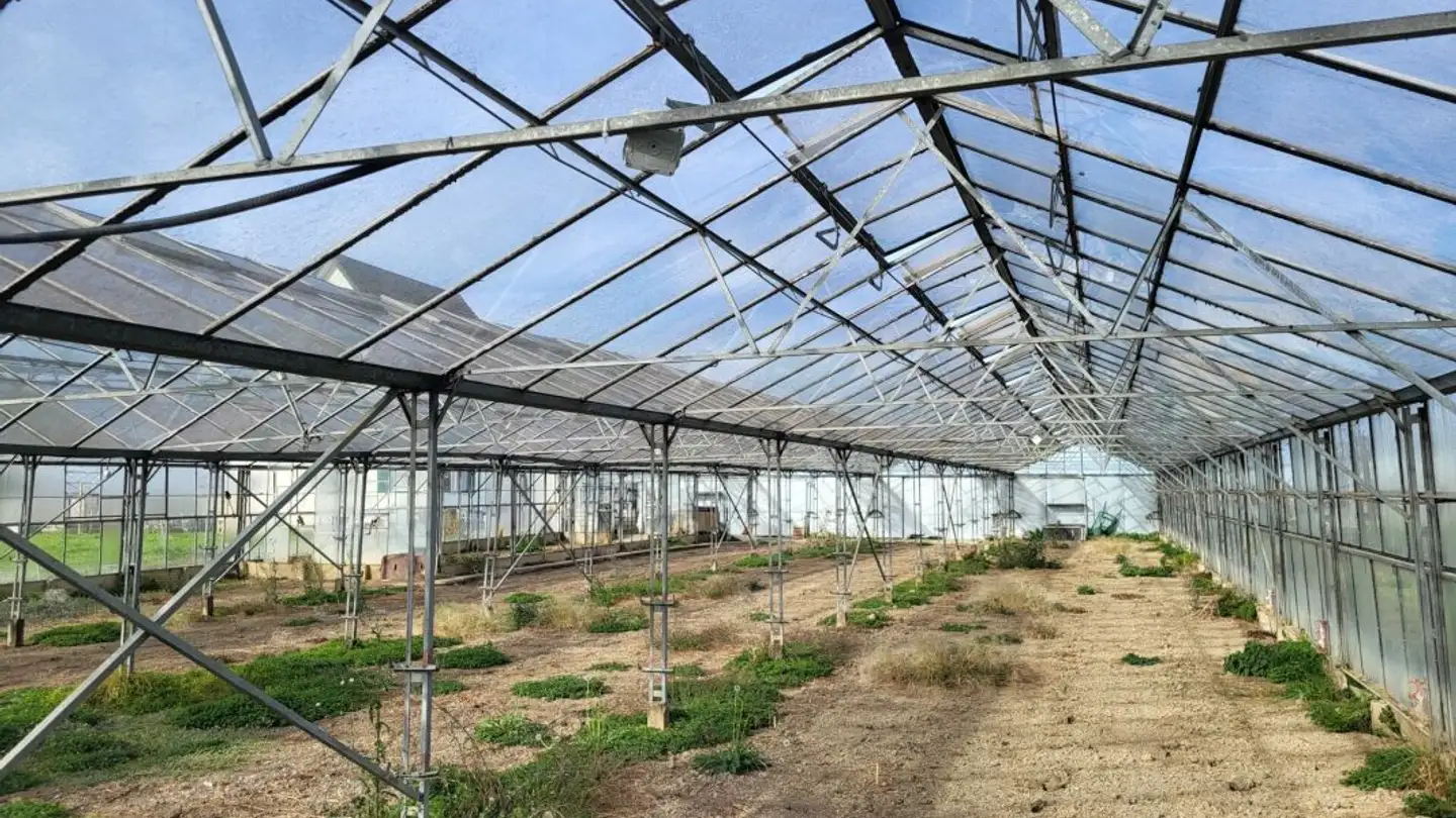 Garden for rent - Hofenstrasse 1, 9320 Stachen - Photo 4