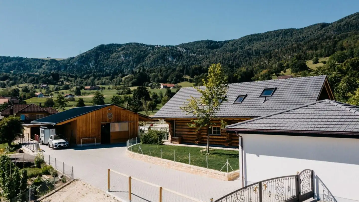 Horse box for sale - 4714 Aedermannsdorf - Photo 2