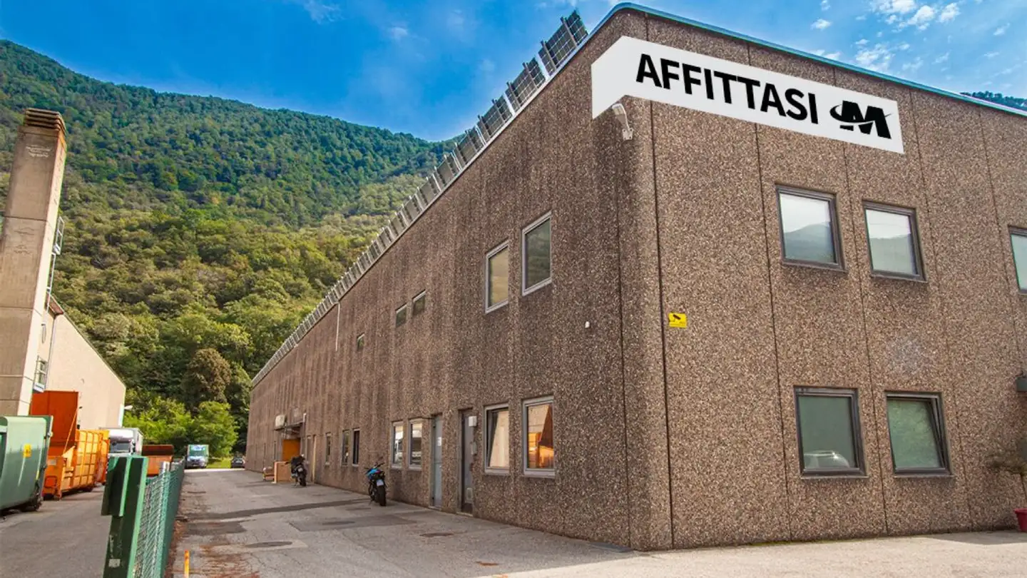 Werkstatt mieten - Via Sceresa, 6805 Mezzovico - Foto 3