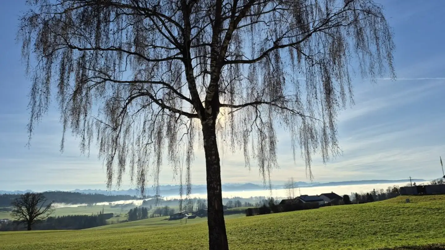 Casa a schiera in vendita - Schönaustrasse 37, 8335 Hittnau - Foto 3