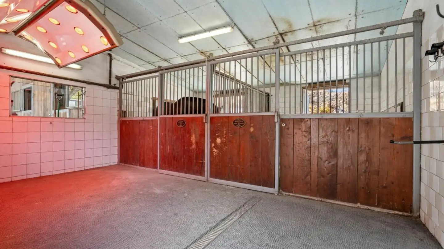 Casa singola in vendita - Loostrasse 3, 9502 Braunau - Foto 3