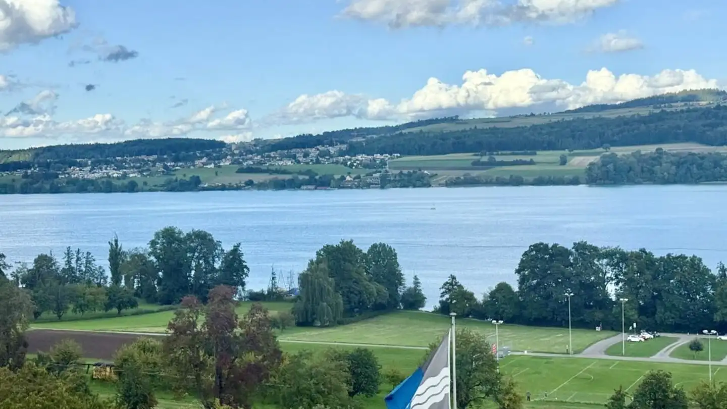 Constructible plot for sale - Seestrasse 30, 5712 Beinwil am See - Photo 4
