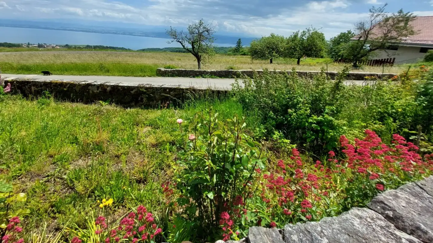 Ferme à vendre - 1428 Mutrux - Photo 2