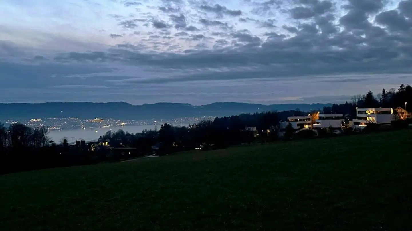 Loft à vendre - 8707 Uetikon am See - Photo 2