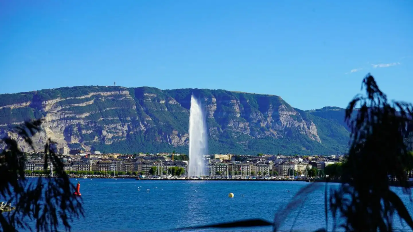 Appartamento in affitto - 1213 Petit-Lancy