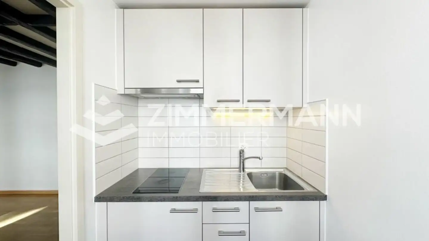 Apartment for rent - Rue De La Filature, 1227 Carouge GE - Photo 3