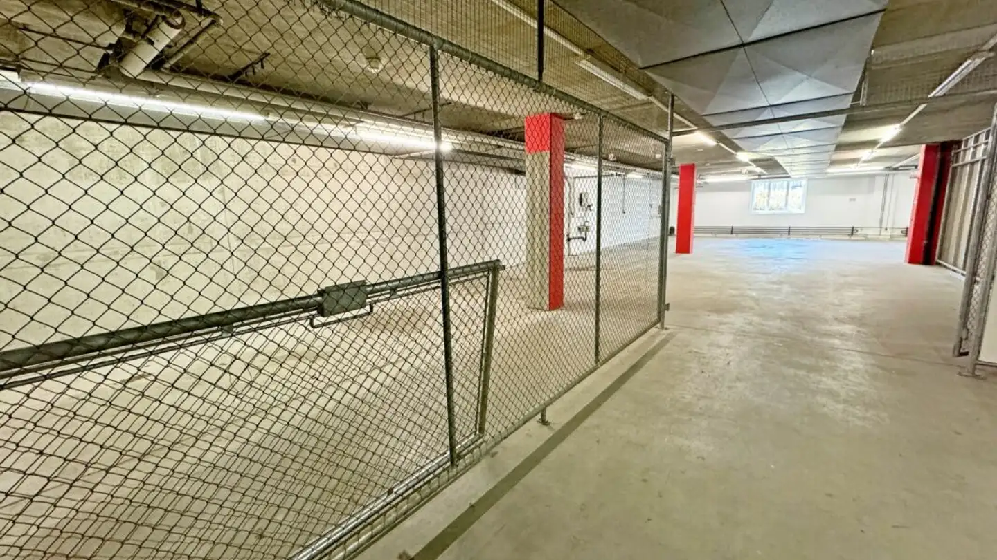 Espace de stockage à louer - Pfeffingerring 201, 4147 Aesch BL - Photo 3