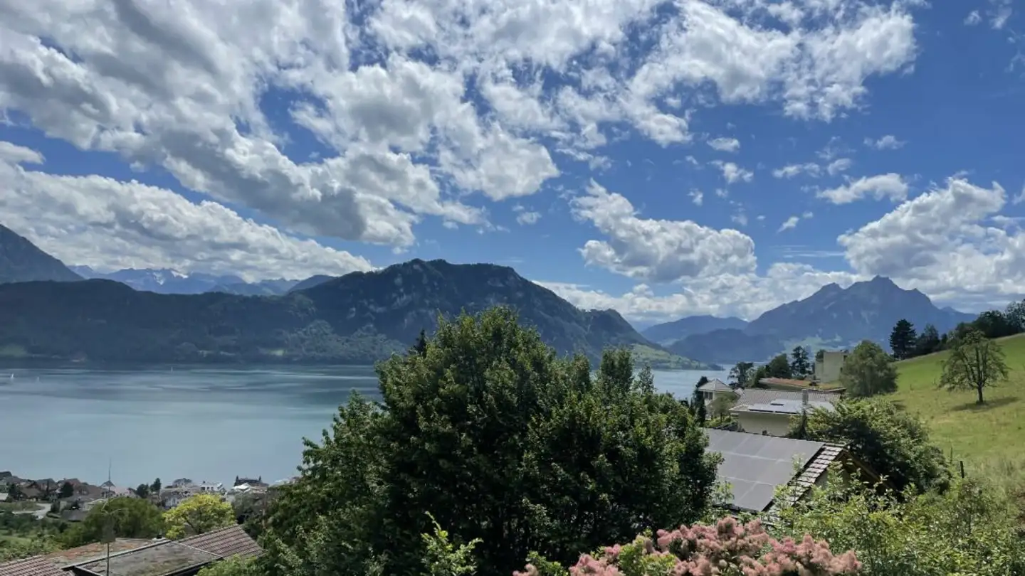 Single house for sale - Tellistrasse 7, 6353 Weggis