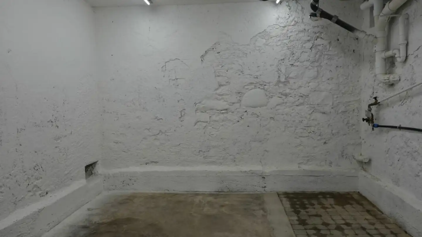 Storage space for rent - Neunfornerstrasse 18, 8479 Altikon