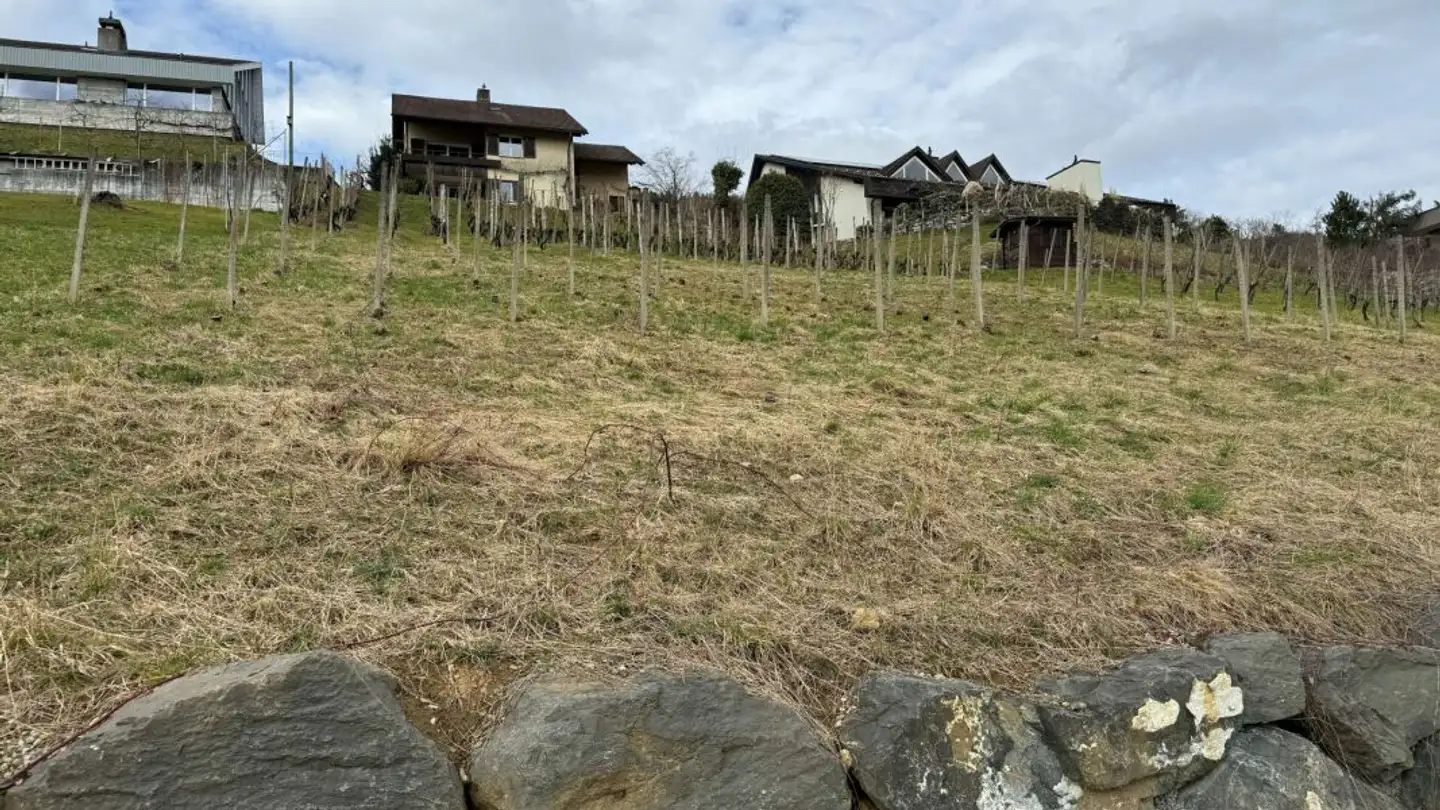 Bauland kaufen - Grund-Höhlerweg, 9445 Rebstein