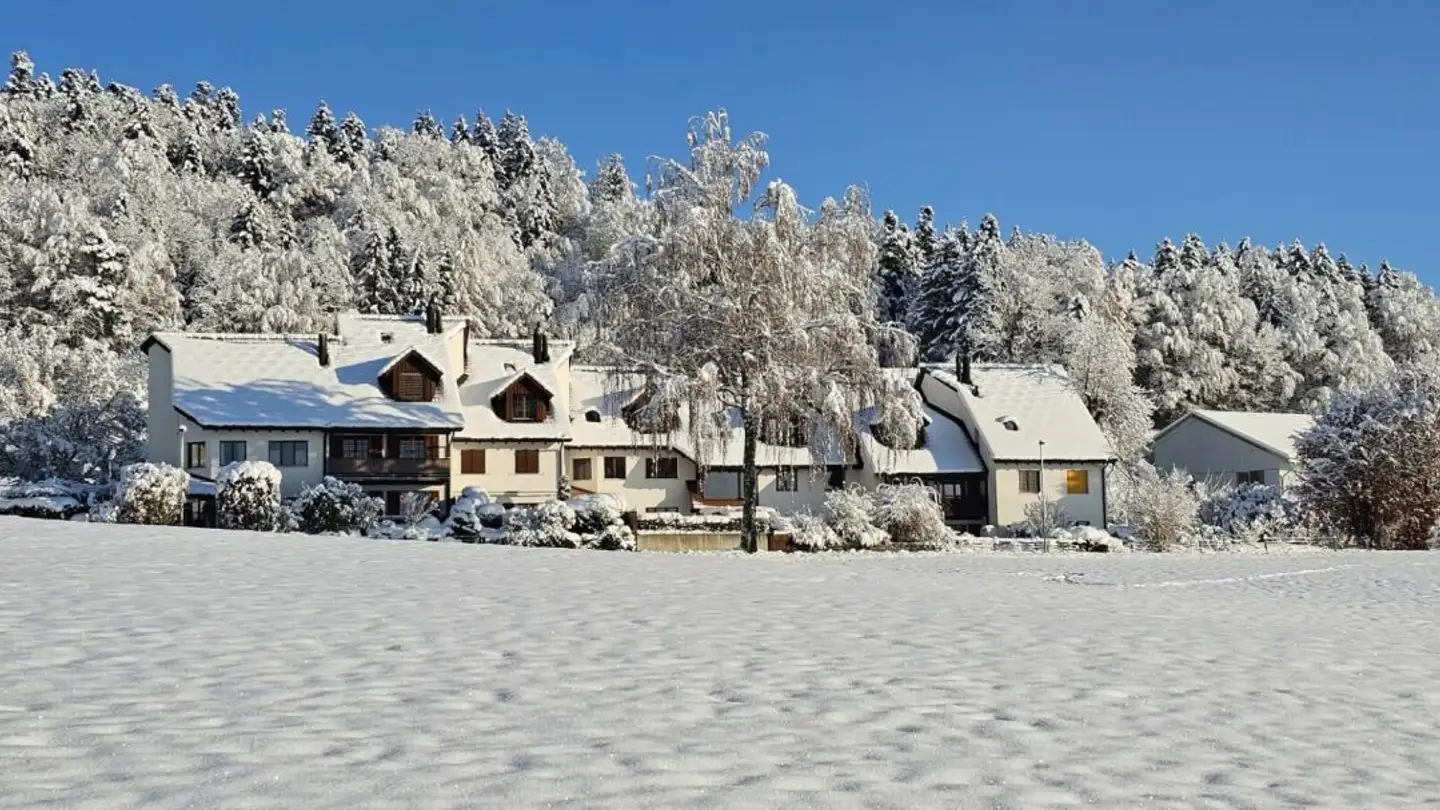 Reihenhaus kaufen - Schönaustrasse 37, 8335 Hittnau