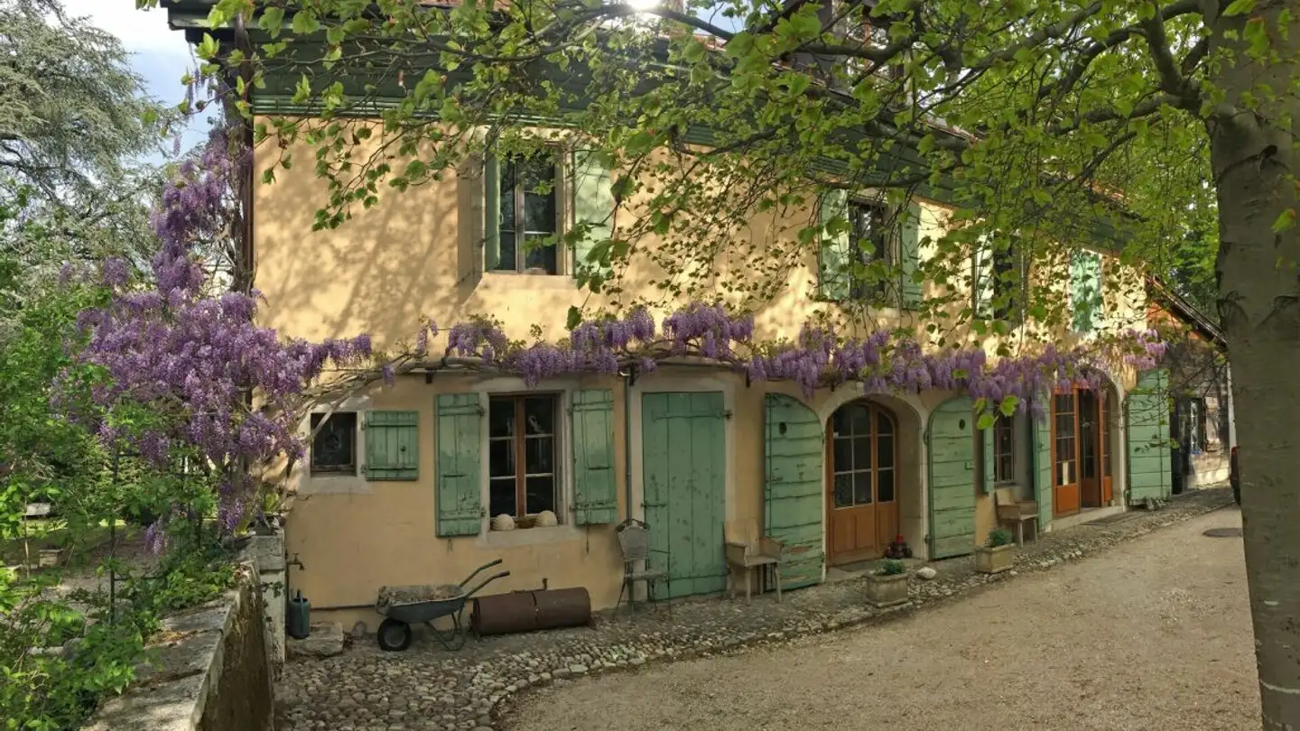 Appartamento in affitto - Chemin Jacques- Attenville 2, 1218 Le Grand-Saconnex - Foto 2