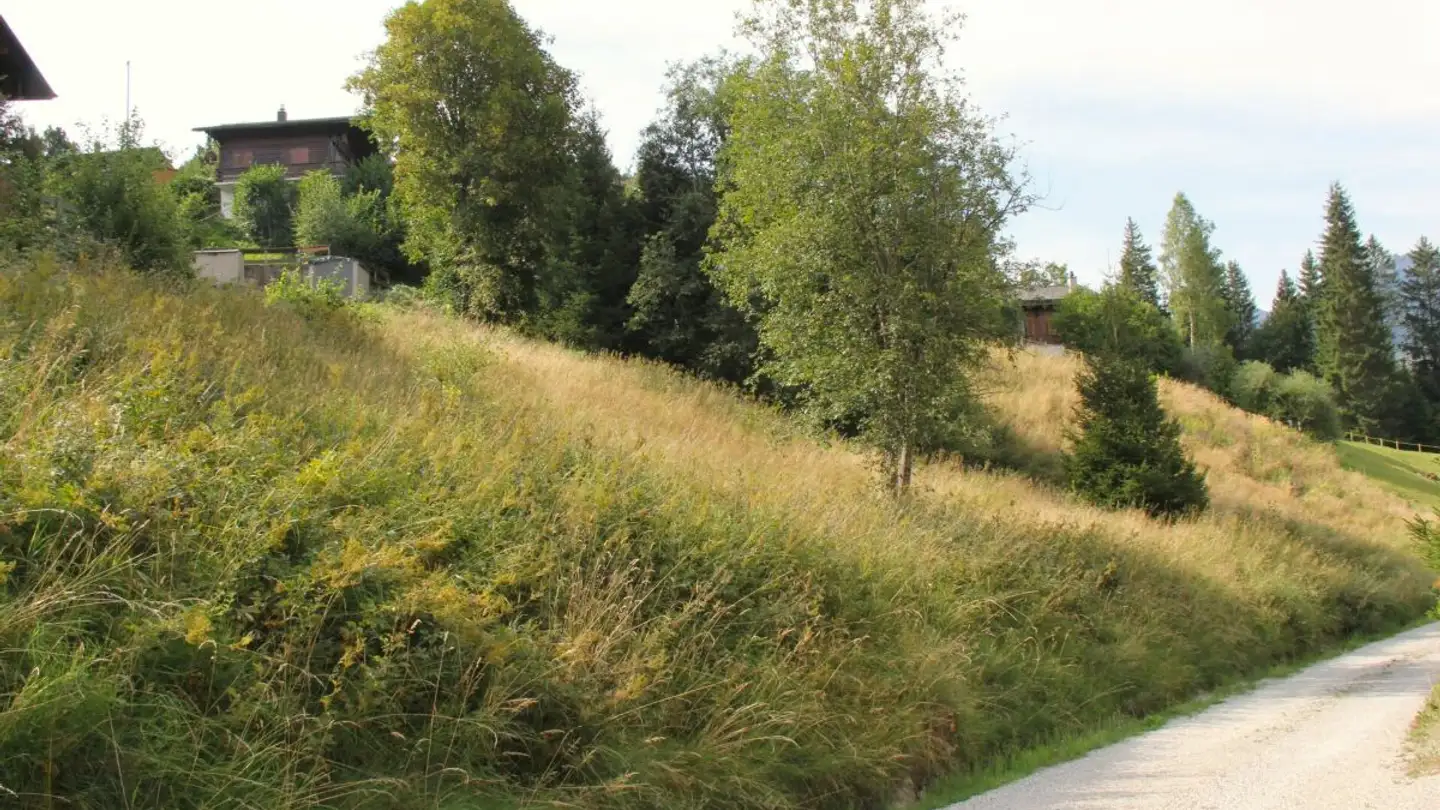 Terreno edificabile in vendita - Mösli, 1716 Schwarzsee - Foto 3