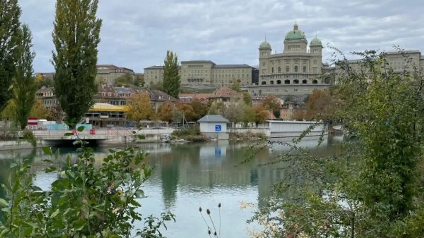Appartement à louer - Dalmaziquai 41, 3005 Bern