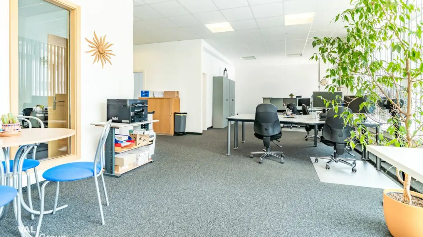 Gewerbe mieten - Strasse Gstein 8, 3940 Steg VS - Foto 4