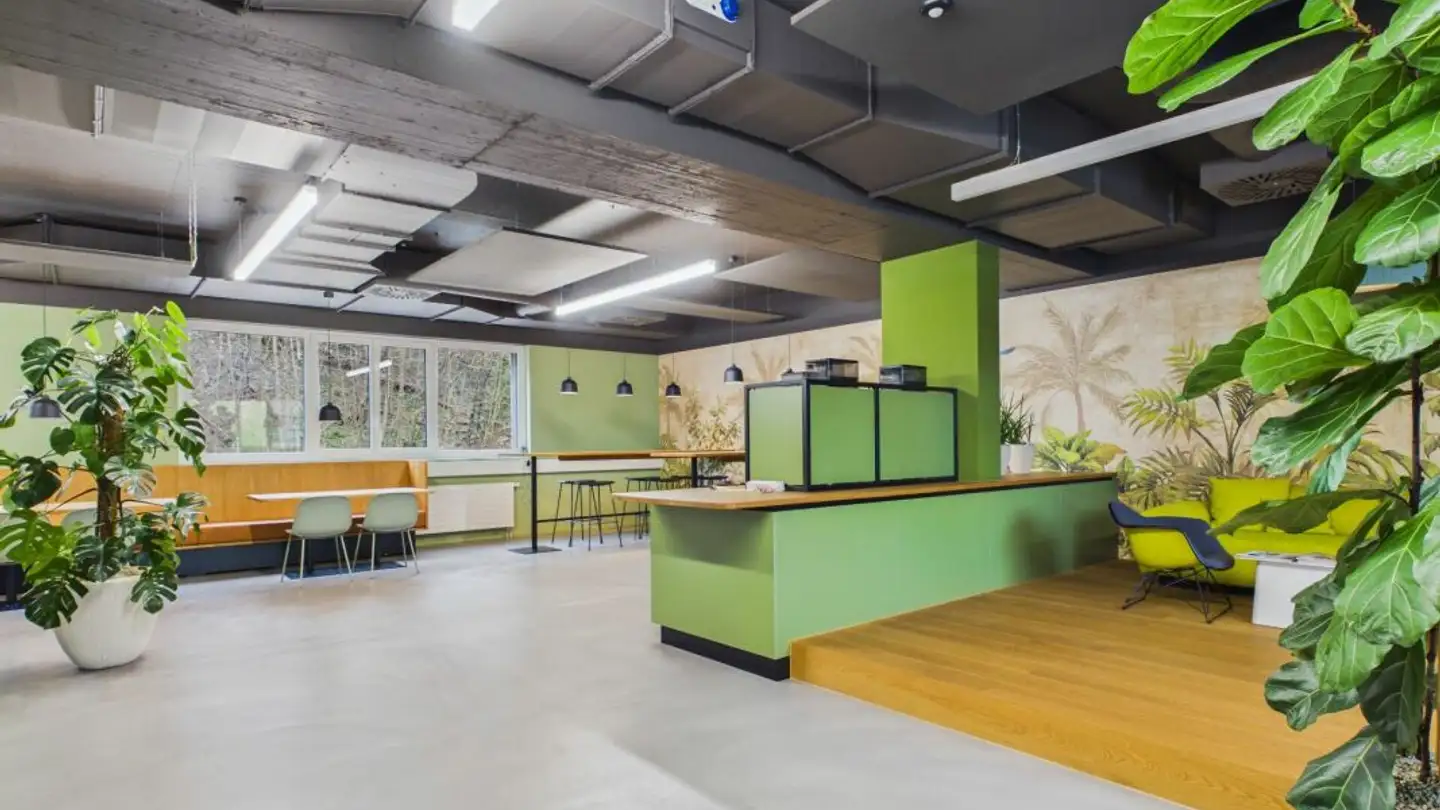 Office space for rent - Bächliackerstrasse 4a, 4402 Frenkendorf