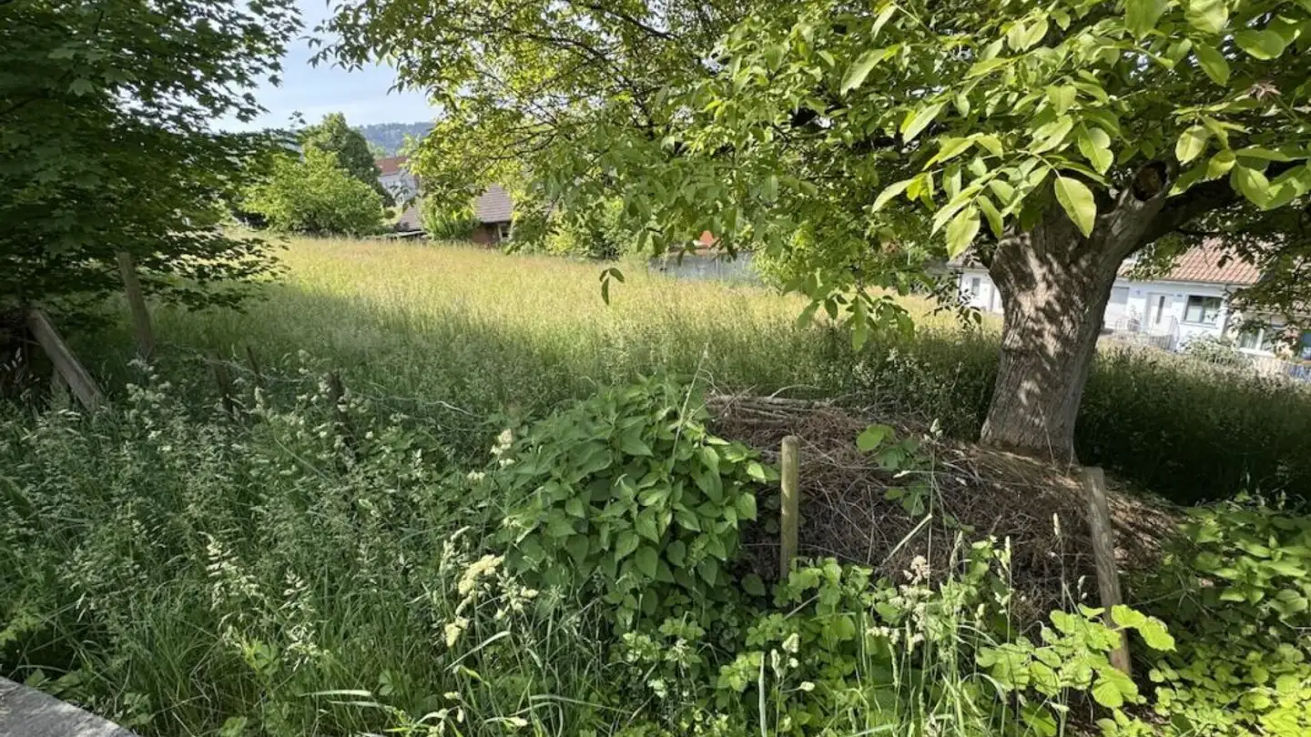 Bauland kaufen - Hohrainstrasse 4, 9403 Goldach - Foto 2