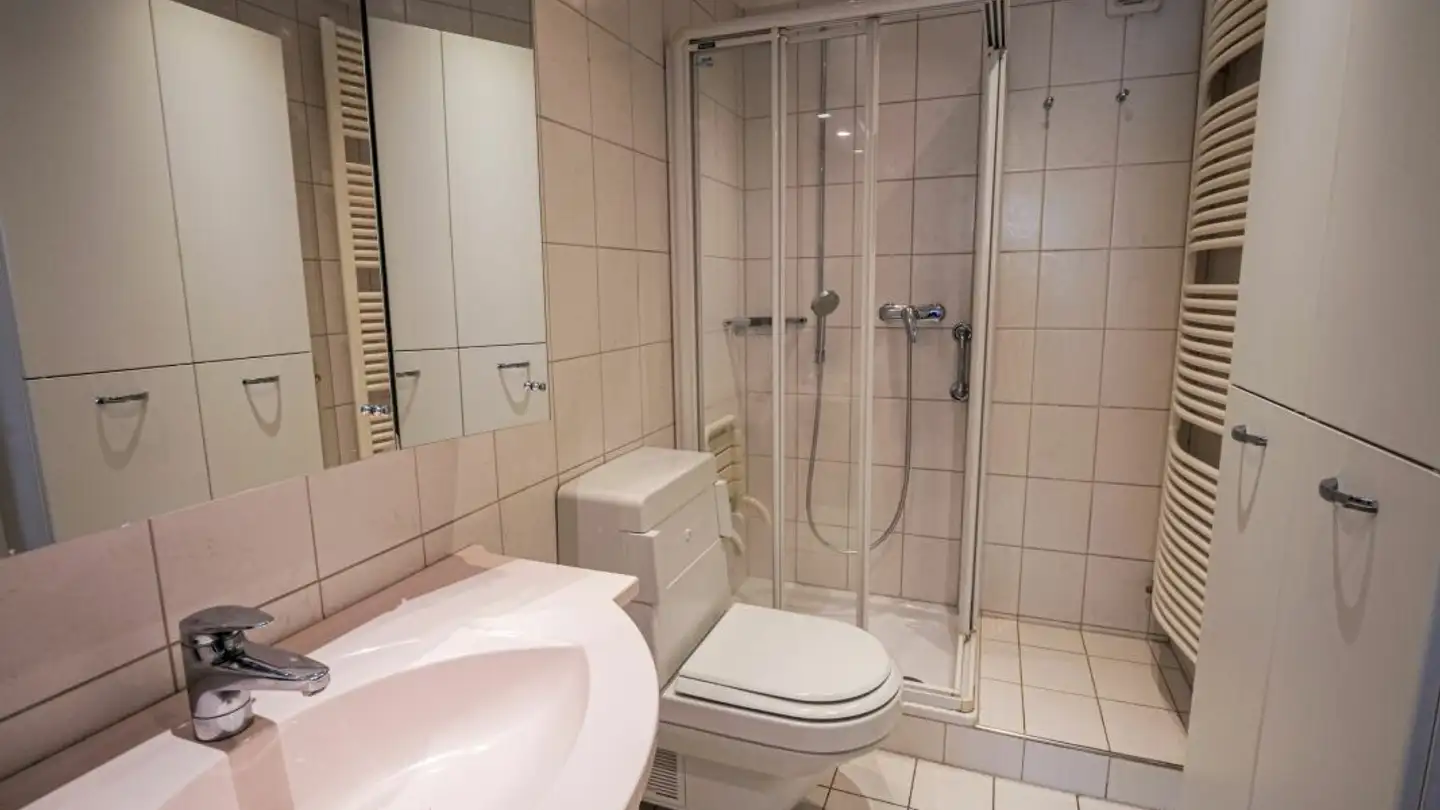 Attique à vendre - Kreuzackerweg 63, 4103 Bottmingen - Photo 3