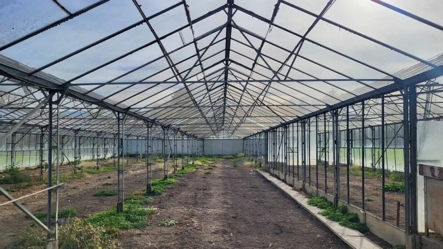 Garden for rent - Hofenstrasse 1, 9320 Stachen - Photo 3