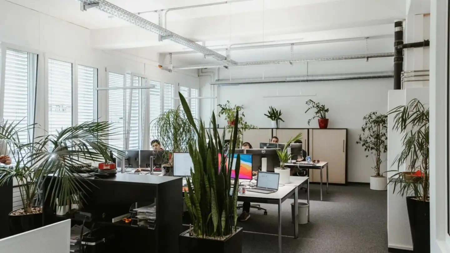 Office space for rent - Wiedenstrasse 52c, 9470 Buchs SG - Photo 3