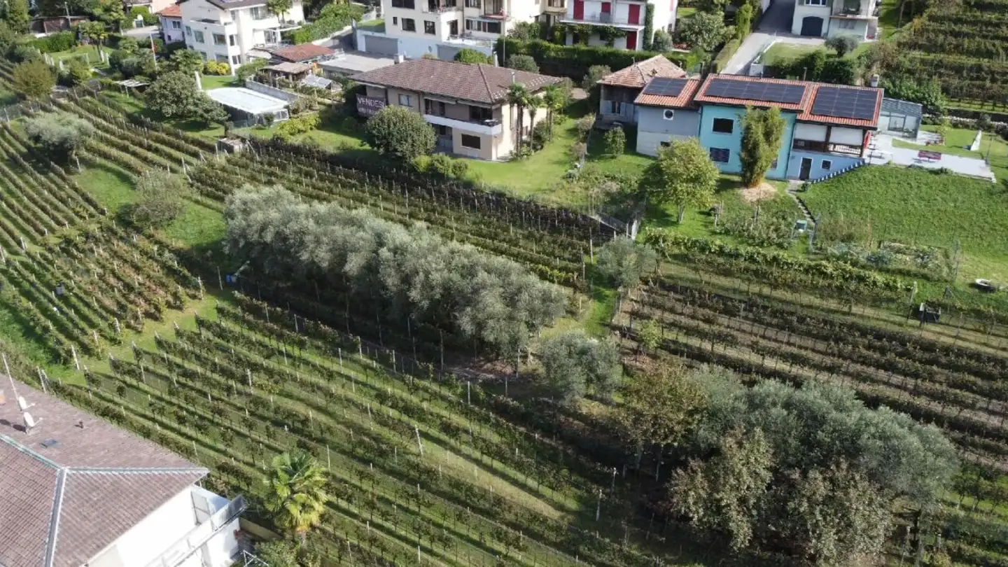 Constructible plot for sale - Via San Giorgio, 6827 Brusino Arsizio - Photo 4