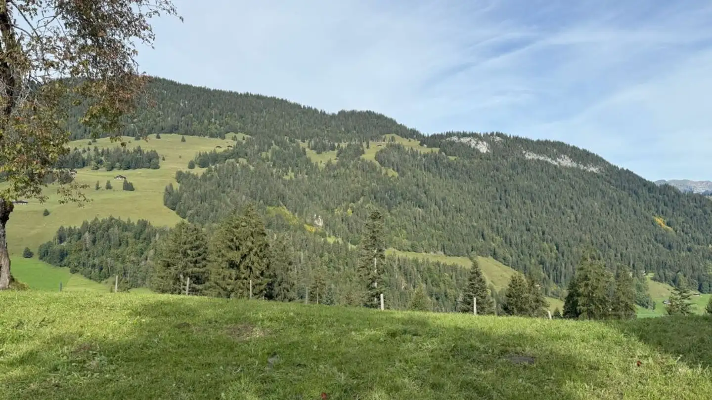 Terreno edificabile in vendita - Wyermattenstrasse 2, 3776 Oeschseite - Photo 2