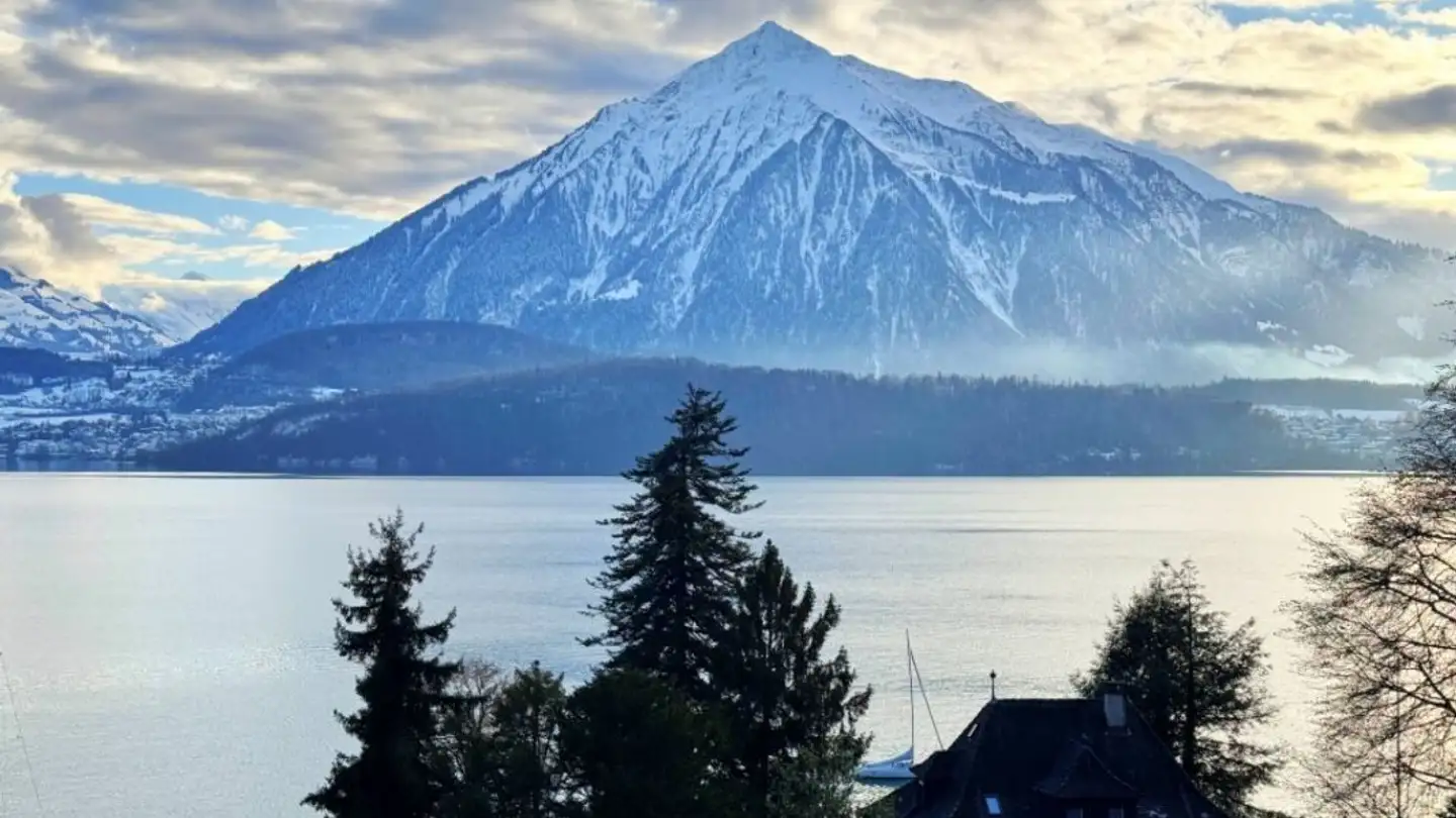 Appartamento in vendita - Herzogenacker 6, 3654 Gunten - Foto 2