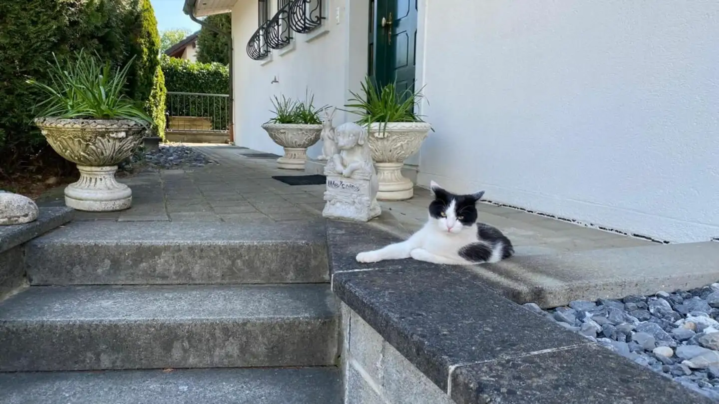 Maison individuelle à vendre - Michelmattstrasse 12, 4652 Winznau - Photo 3