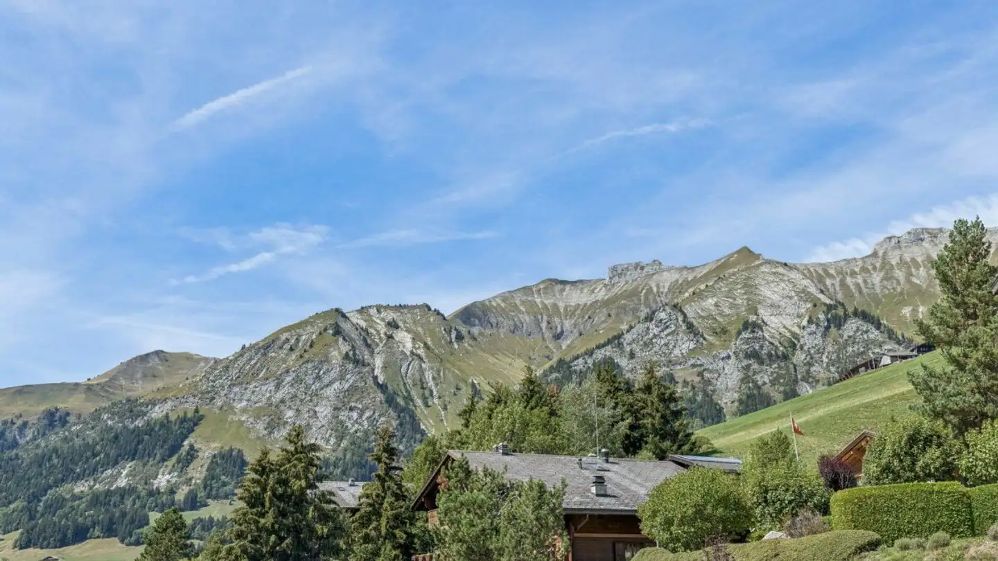 Chalet kaufen - Route Du Mont 91, 1660 Château-d'Oex - Foto 2