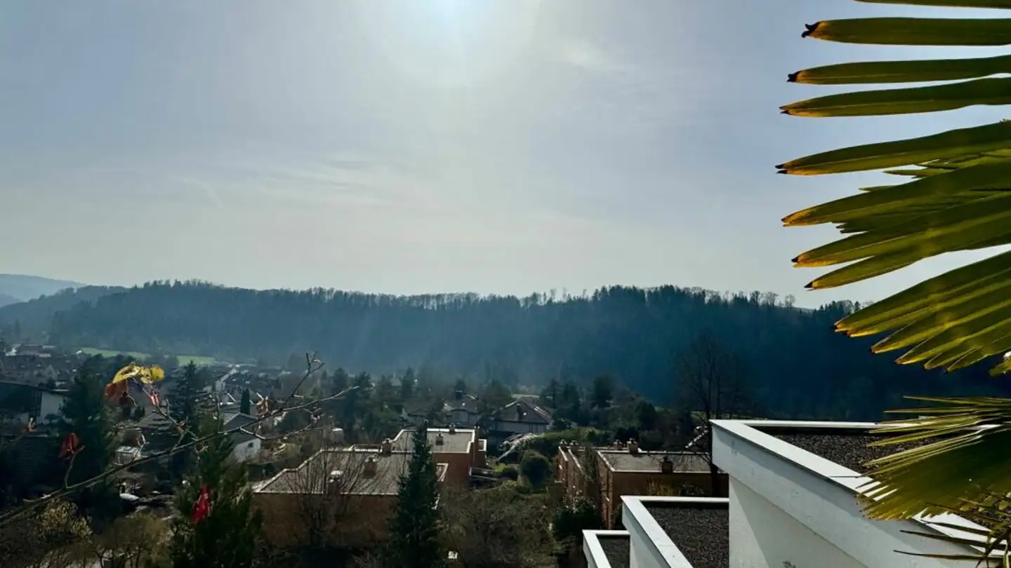 Stepped apartment for sale - 8143 Stallikon - Photo 2